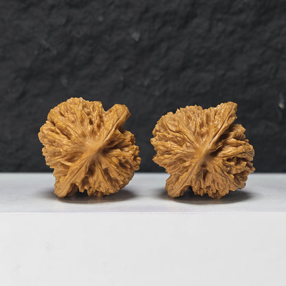 "Peach Heart Coiled Dragon Tiger Head" Tao Xin Pan Long Hu Tou HT-S-004944 Collector Wenwan Walnuts Pair | 41.0mm x 40.0mm | HT-S-004944