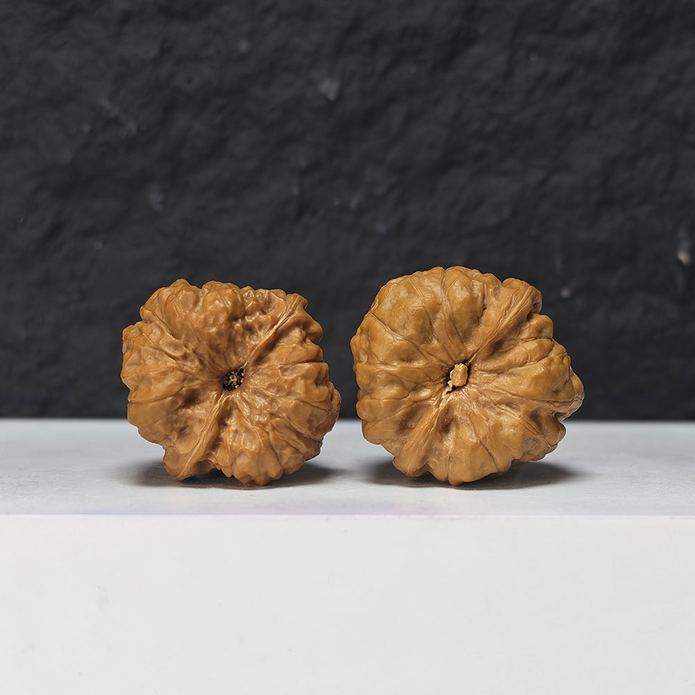 "Pocket Crystal Toad Head" Crystal Toad Head Collector Wenwan Walnuts Pair | 34.0mm x 35.0mm | HMT-S-003964