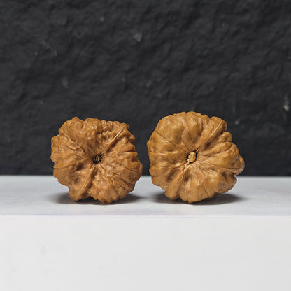 "Pocket Crystal Toad Head" Crystal Toad Head Collector Wenwan Walnuts Pair | 34.0mm x 35.0mm | HMT-S-003964