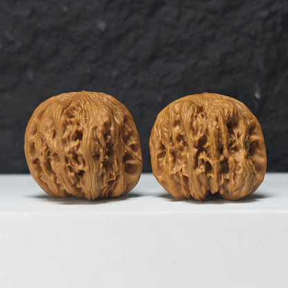 "Square Head Toad" Fang Tou Chan Collector Wenwan Walnuts Pair | 40.0mm x 40.0mm | HMT-S-004967