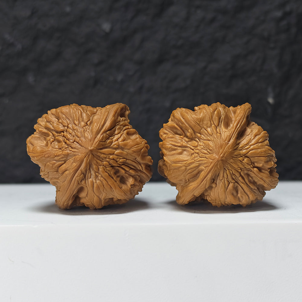 "Square Head Toad" Fang Tou Chan Collector Wenwan Walnuts Pair | 40.0mm x 40.0mm | HMT-S-004967