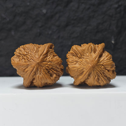 "Square Head Toad" Fang Tou Chan Collector Wenwan Walnuts Pair | 40.0mm x 40.0mm | HMT-S-004967