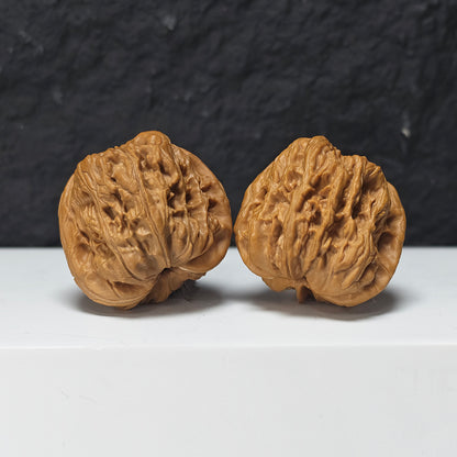 "Square Head Toad" Fang Tou Chan Collector Wenwan Walnuts Pair | 40.0mm x 40.0mm | HMT-S-004967