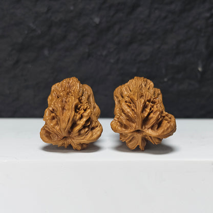 "Tiger Head Angry Bird" Hu Tou Fen Nu De Xiao Niao Collector Wenwan Walnuts Pair | 32.0mm x 36.0mm | YX-E-156860