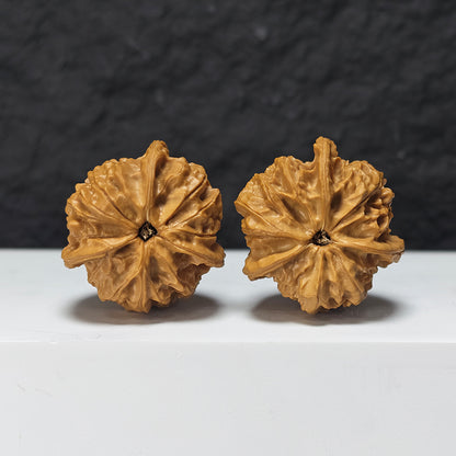 "Imperial Seal Upper Tri-Ridge" Yu Xi San Leng Shang Collector Wenwan Walnuts Pair | 38.0mm x 41.0mm | YX-E-163867