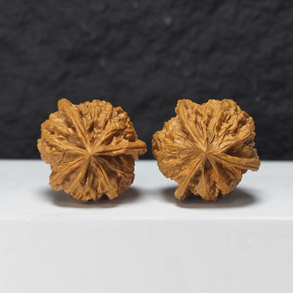 "Imperial Seal Upper Tri-Ridge" Yu Xi San Leng Shang Collector Wenwan Walnuts Pair | 38.0mm x 41.0mm | YX-E-163867