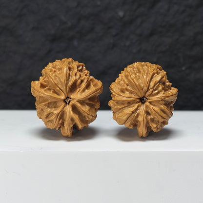 "Imperial Seal Three-Ridge Dun" Yu Xi San Leng Ding Collector Wenwan Walnuts Pair | 37.0mm x 41.0mm | YX-E-170874