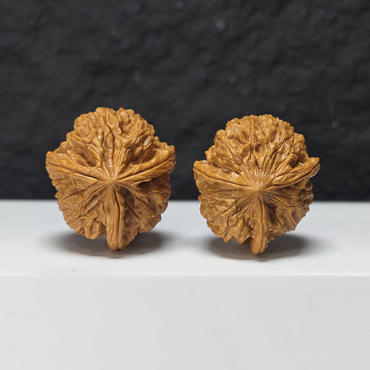 "Imperial Seal Three-Ridge Dun" Yu Xi San Leng Ding Collector Wenwan Walnuts Pair | 37.0mm x 41.0mm | YX-E-170874