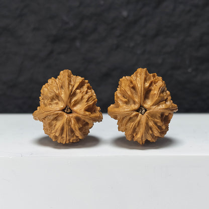 "Imperial Seal Upper Tri-Ridge" Yu Xi San Leng Shang Collector Wenwan Walnuts Pair | 35.0mm x 39.0mm | YX-E-124828