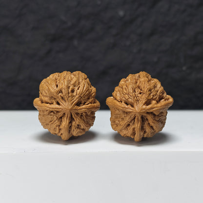 "Rain Flower Stone Three-Ridge Dun" Yu Hua Shi Three-Ridge Dun Collector Wenwan Walnuts Pair | 34.0mm x 36.0mm | YX-E-033430