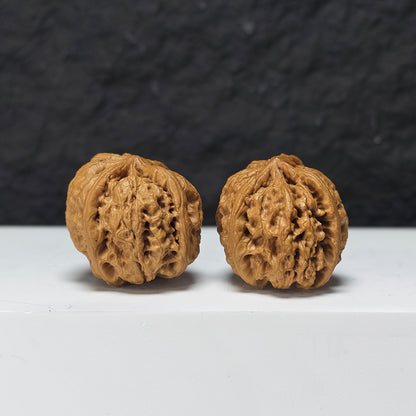"Rain Flower Stone Three-Ridge Dun" Yu Hua Shi Three-Ridge Dun Collector Wenwan Walnuts Pair | 34.0mm x 36.0mm | YX-E-033430