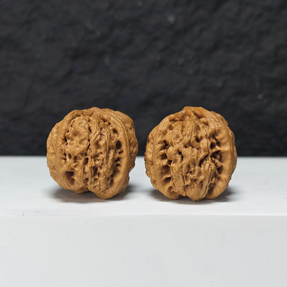 "Rain Flower Stone Three-Ridge Dun" Yu Hua Shi Three-Ridge Dun Collector Wenwan Walnuts Pair | 34.0mm x 36.0mm | YX-E-033430