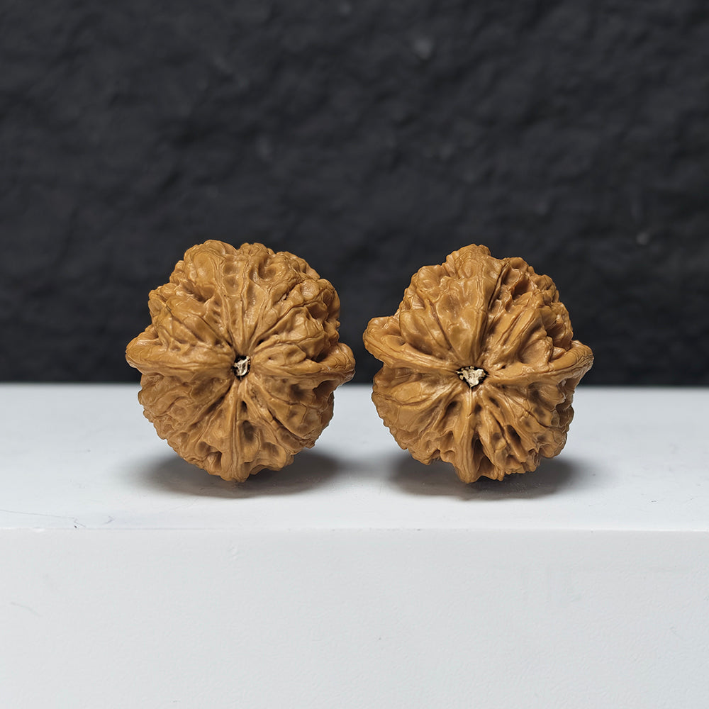 "Rain Flower Stone Three-Ridge Dun" Yu Hua Shi Three-Ridge Dun Collector Wenwan Walnuts Pair | 34.0mm x 36.0mm | YX-E-033430