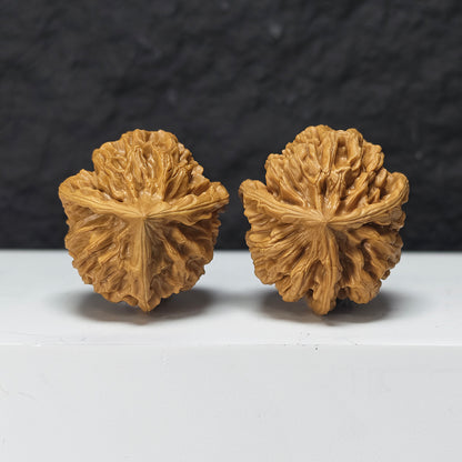 "Imperial Three-Ridge Dun" Di Wang Three-Ridge Dun Collector Wenwan Walnuts Pair | 39.0mm x 43.0mm | YX-E-041438