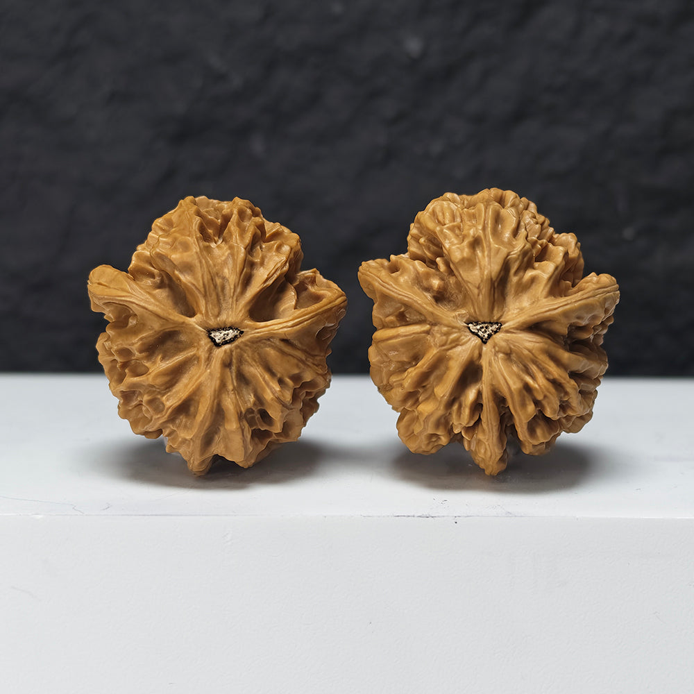 "Imperial Three-Ridge Dun" Di Wang Three-Ridge Dun Collector Wenwan Walnuts Pair | 39.0mm x 43.0mm | YX-E-041438