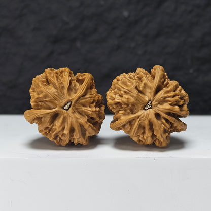 "Imperial Three-Ridge Dun" Di Wang Three-Ridge Dun Collector Wenwan Walnuts Pair | 39.0mm x 43.0mm | YX-E-041438