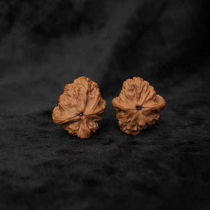 The "Serene Buddha" (Red Lion Sitting Buddha) E-Grade Compact Pair | 30.0mm (Length) x 33.0mm (Width) | YX-E-027253