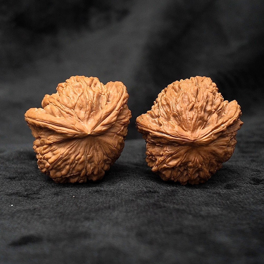 The "Divine Ear" (Wide-Edge Lion's Head) E-Grade Ultra-Wide Pair | 39.0mm (Length) x 45.0mm (Width) | YX-E-029255