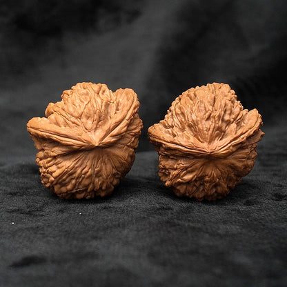 The "Divine Ear" (Wide-Edge Lion's Head) E-Grade Ultra-Wide Pair | 39.0mm (Length) x 45.0mm (Width) | YX-E-029255