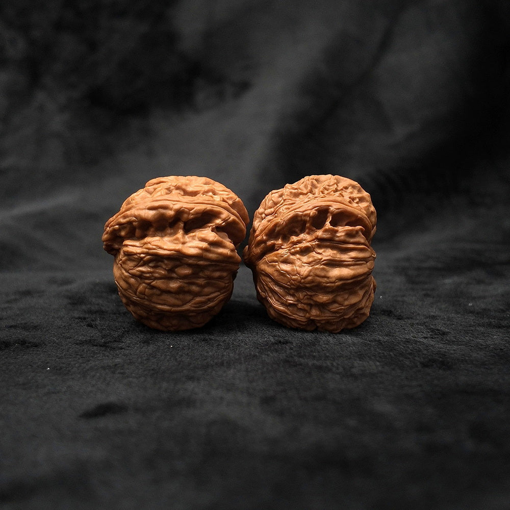 The "Divine Ear" (Wide-Edge Lion's Head) E-Grade Ultra-Wide Pair | 39.0mm (Length) x 45.0mm (Width) | YX-E-029255