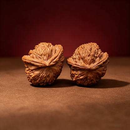The "Divine Ear" (Wide-Edge Lion's Head) E-Grade Ultra-Wide Pair | 39.0mm (Length) x 45.0mm (Width) | YX-E-029255