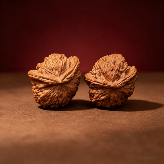 The "Divine Ear" (Wide-Edge Lion's Head) E-Grade Ultra-Wide Pair | 39.0mm (Length) x 45.0mm (Width) | YX-E-029256