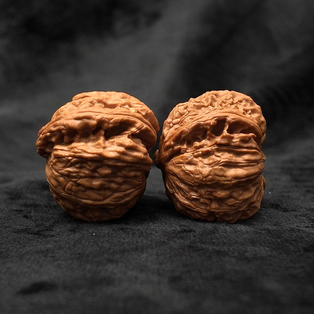 The "Divine Ear" (Wide-Edge Lion's Head) E-Grade Ultra-Wide Pair | 39.0mm (Length) x 45.0mm (Width) | YX-E-029255