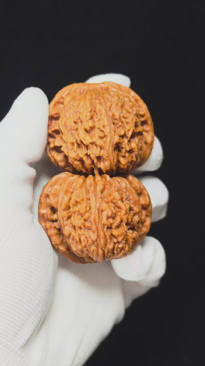 "Spherical Nan Jiang Shi" Qiu Xing Nan Jiang Shi NJS-SS-004901 Masterpiece Wenwan Walnuts Pair | 46.0mm x 46.0mm | NJS-SS-004901