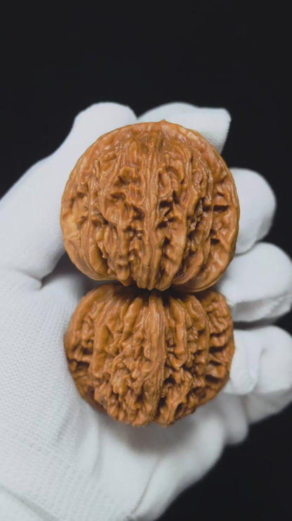 "Han Tower" Han Gao Lou SZL-SS-002878 Masterpiece Wenwan Walnuts Pair | 44.0mm x 40.0mm | SZL-SS-002878
