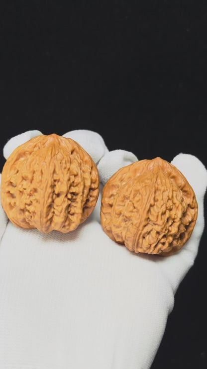 "Gazing at the Moon" Wang Yue SZ-SS-022902 Masterpiece Wenwan Walnuts Pair | 43.0mm x 41.0mm | SZ-SS-022902