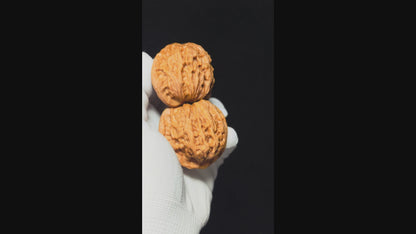 "Gentleman's Hat" Gong Zi Mao GZM-SSS-001886 Masterpiece Wenwan Walnuts Pair | 44.0mm x 40.0mm | GZM-SSS-001886