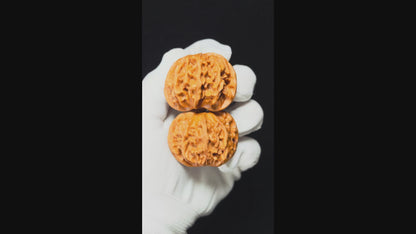 "Heaven and Earth Lord Guan's Hat" Tian Di Er Ye Mao GM-SS-004880 Masterpiece Wenwan Walnuts Pair | 44.0mm x 42.0mm | GM-SS-004880